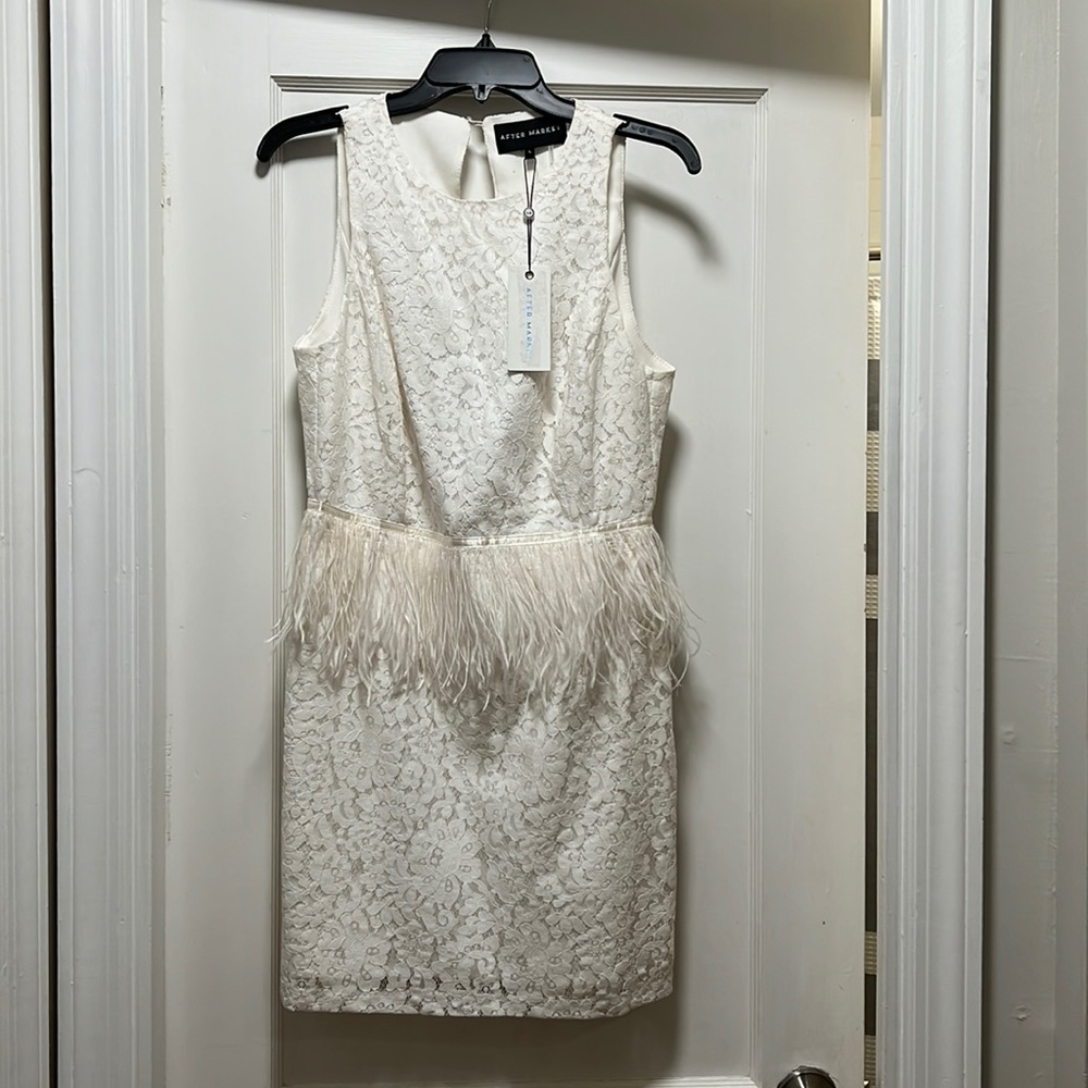 NWT- Lace Dress with feathers- size large